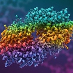 Protein Molecules Protein Molecules