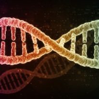 DNA - A Living Code DNA - A Living Code