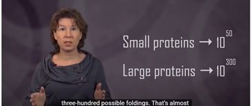 Theoretical Physicist Sabine Hossenfelder explains the complexity of proteins.